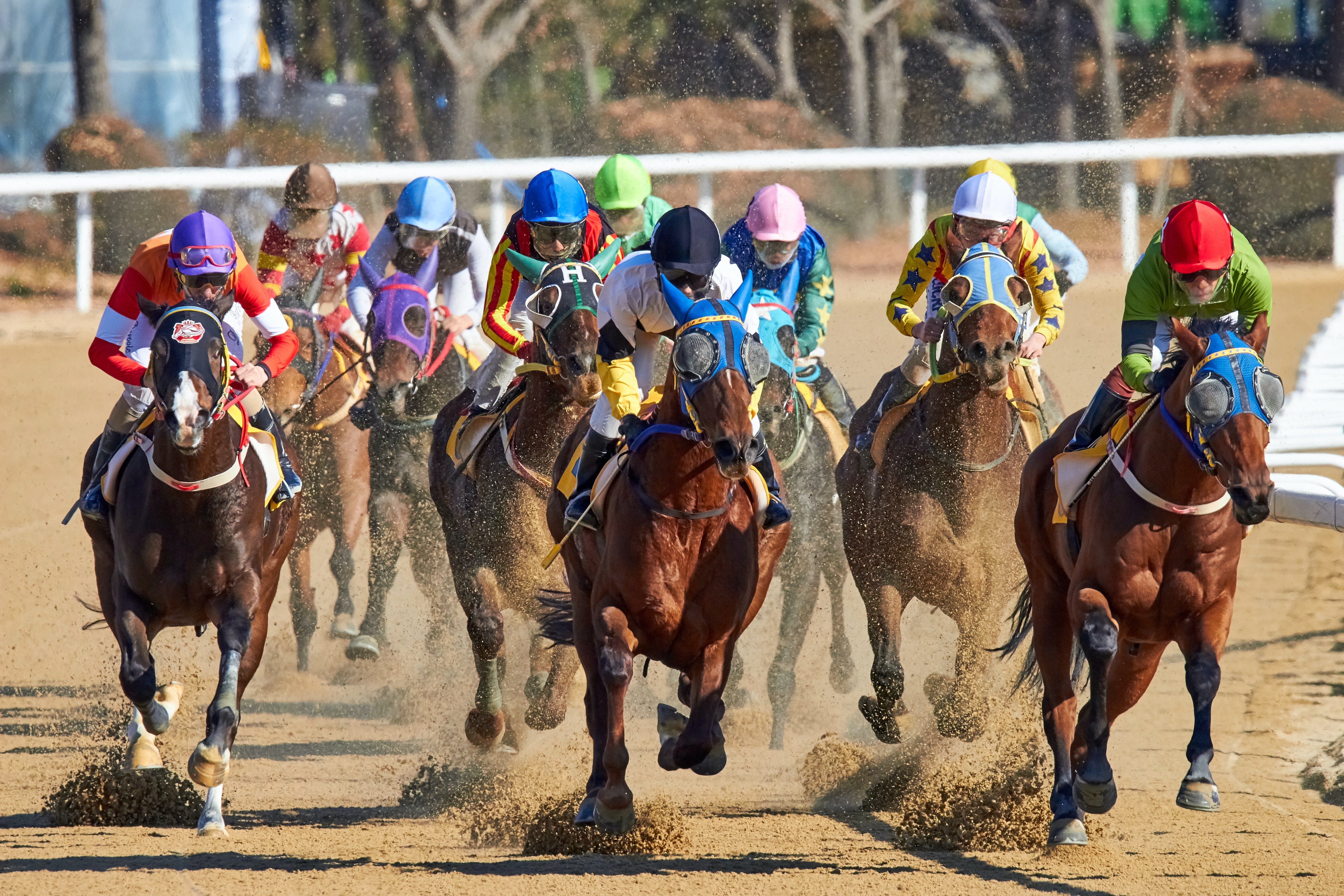 2021 Triple Crown Horse Racing Schedule