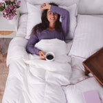 Ascot Castle White Goose Down Comforter