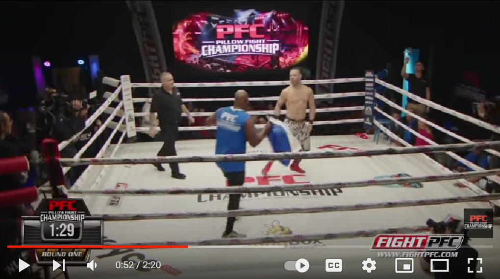 Best Pillows for Pillow Fight Championship