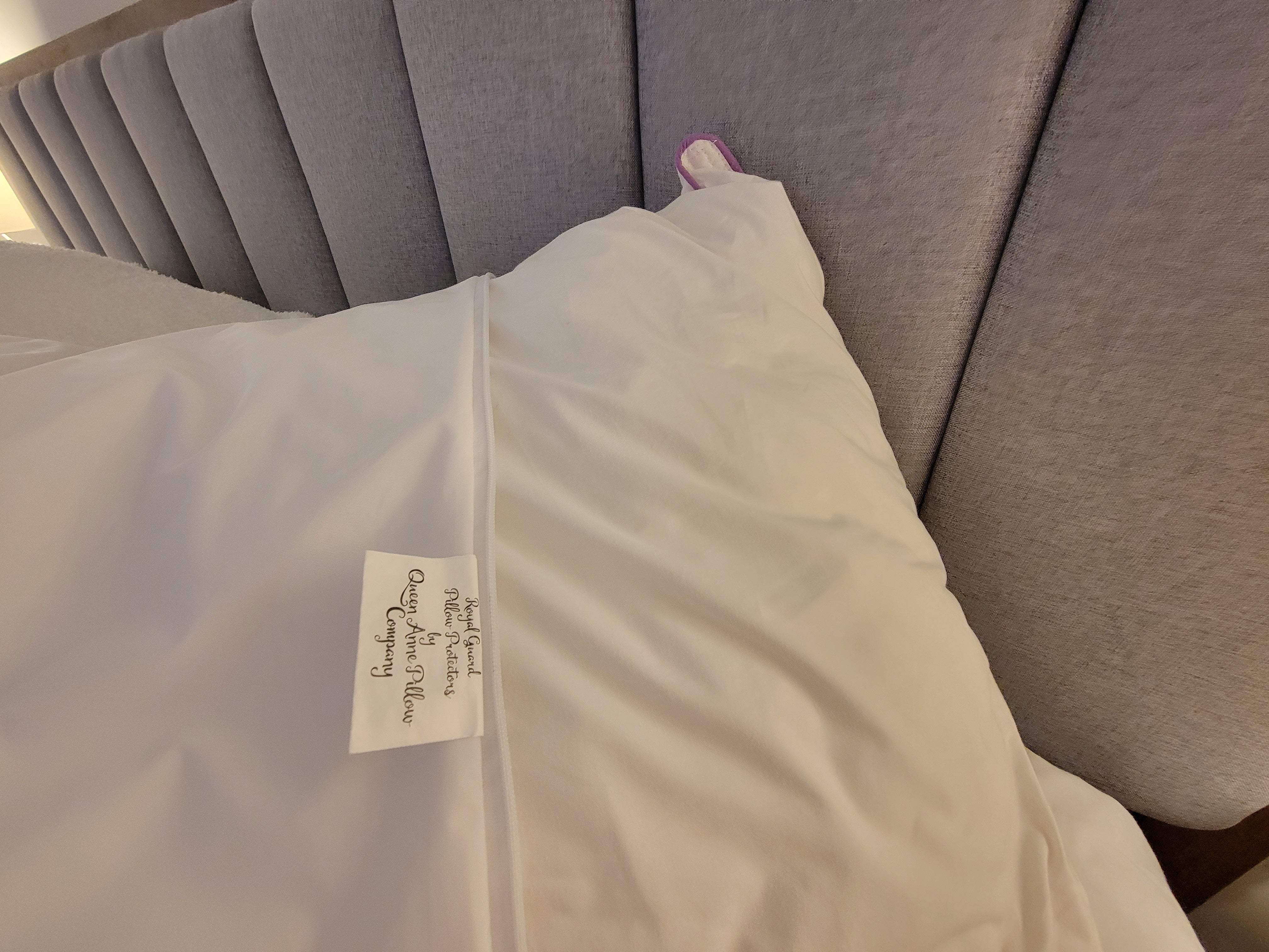 Royal Guard Pillow Protectors & Dust Mite Covers (2 pack)